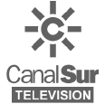 Logo Canal Sur Television 1